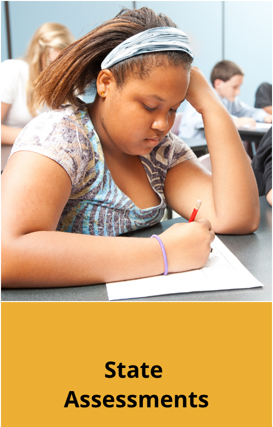 State assessments