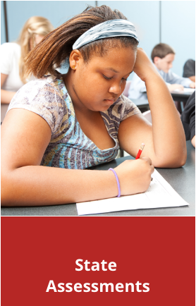 State assessments