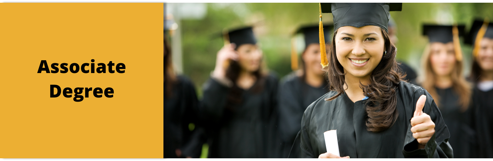 Associate Degree
