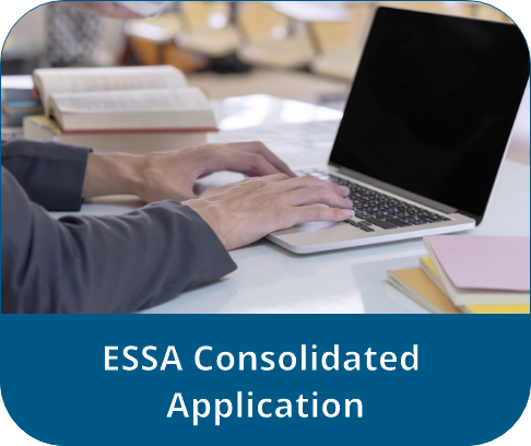 ESSAConsolidatedApplication