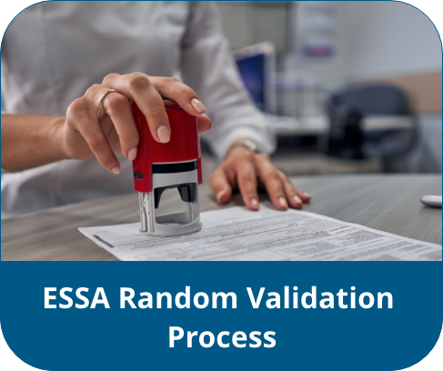 ESSARandomValidationProcess